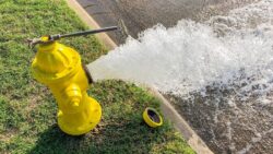OCWA annual cleaning and flushing of the water mains delay